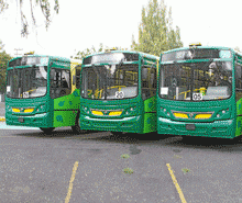 Nuevos autobuses Panorámicos de International Nuevos autobuses Panorámicos de International
