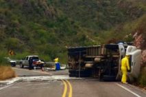 Quálitas ofrece cobertura por daños ecológicos